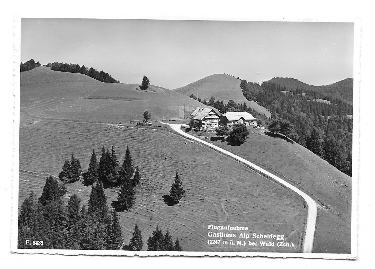 Diese Aufnahme der Alp Scheidegg oberhalb Wald entstand um 1950. Restaurant Alp Scheidegg oberhalb Wald mit steiler Zufahrt.